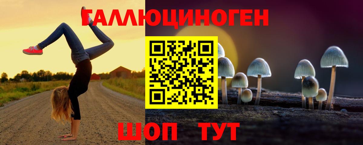 Чита  Галлюциногенные грибы ЛСД  Вход с VPN 